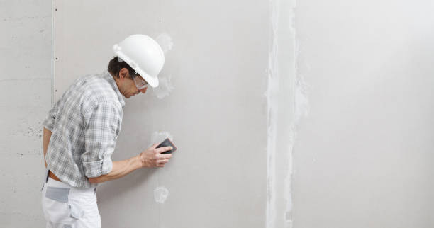 Best Biohazard Mold Removal  in East Jordan, MI
