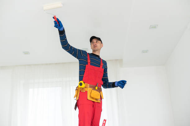 Best Post-Construction Mold Inspection  in East Jordan, MI