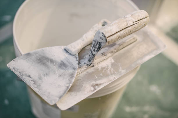 Best Emergency Mold Remediation  in East Jordan, MI